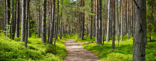 Do You Like to Hike? We've Got Guide Books Just for You!