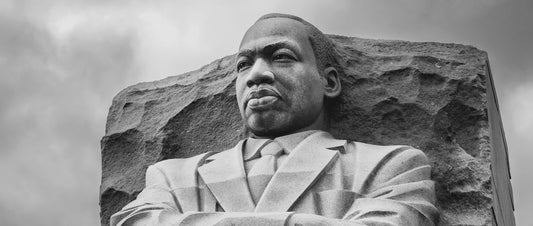Martin Luther King, Jr.: The Man and His Causes