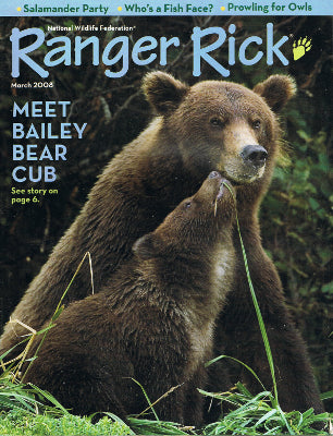 Ranger Rick: March 2008 - Baby Brown Bears (Paperback)