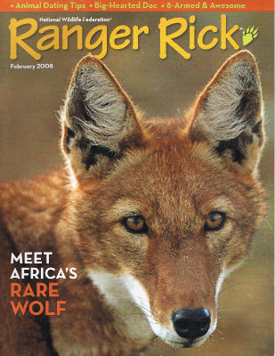 Ranger Rick: February 2008 - Ethiopian Wolves (Paperback)