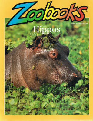 Zoobooks: Hippos (Paperback)