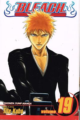 Bleach Vol 19: The Black Moon Rising (Paperback)