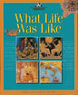 What Life Was Like (Paperback)