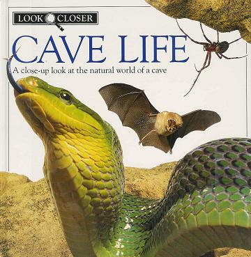 Look Closer: Cave Life (Hardback)