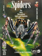 Kids Discover Magazine: Spiders (Paperback) [MC]