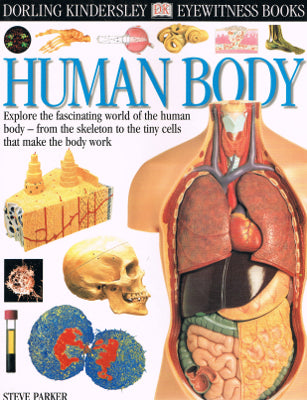 Dorling Kindersley Eyewitness Books: Human Body (Paperback)